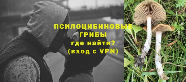 mdma Ельня