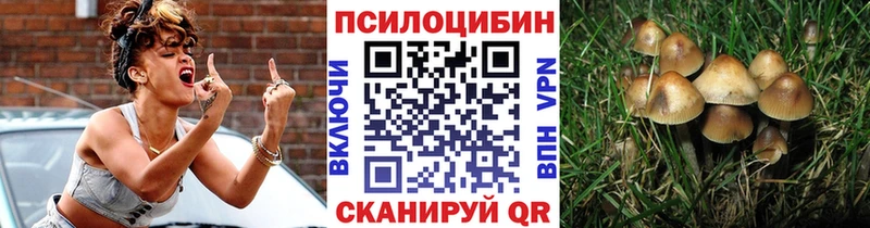 Галлюциногенные грибы Psilocybe  Купить где  Мценск 